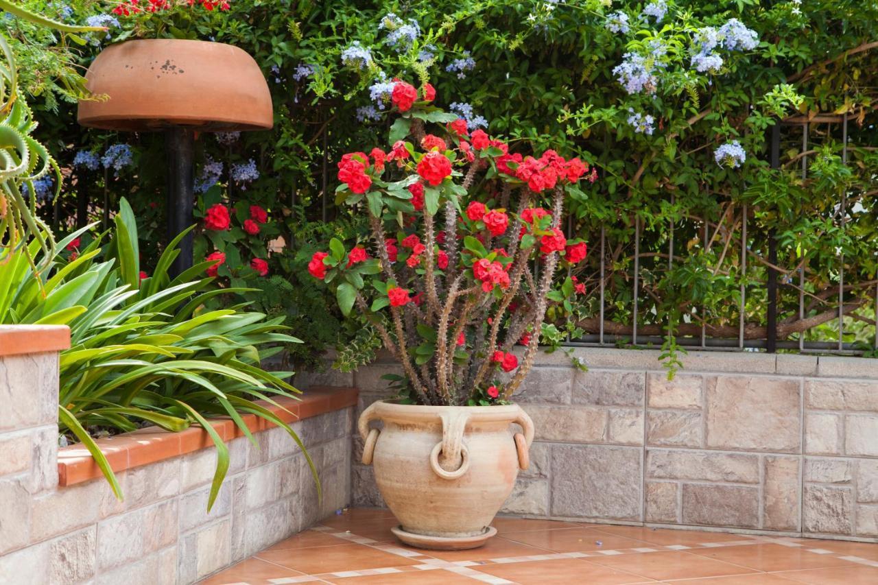 B&B Villa Carmen Sant'Alessio Siculo Exterior photo